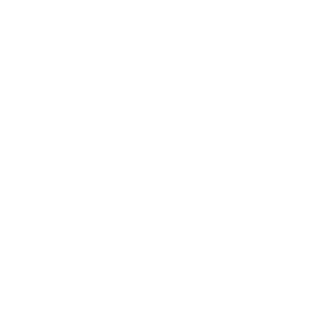 cropped logo 2.png